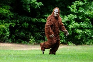BIGFOOT1-001